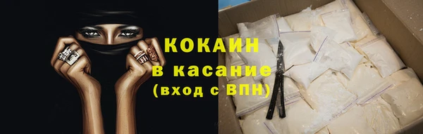 гидра Михайловск